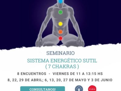 Novedades Abril – Nuevo Seminario Anatomía Sutil, Sistema de Chacras internos