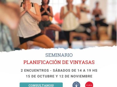 Mes de Octubre: curso de Planificación de Vinyasas en Espacio Pura